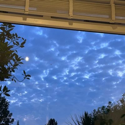 britindiangirl1's profile picture. 