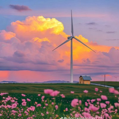 mimi_m21i's profile picture. 