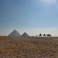 charles may (@tijuana1988) 's Twitter Profile Photo