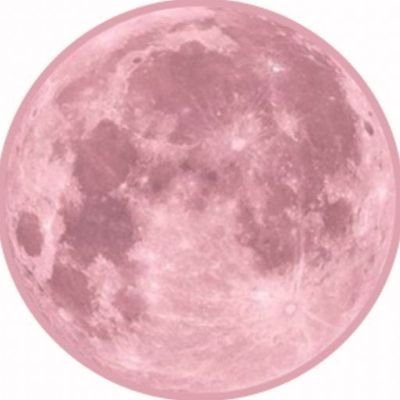 书さんのプロフィール画像