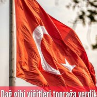 Çavuş Polis (@cavuspolis) 's Twitter Profile Photo