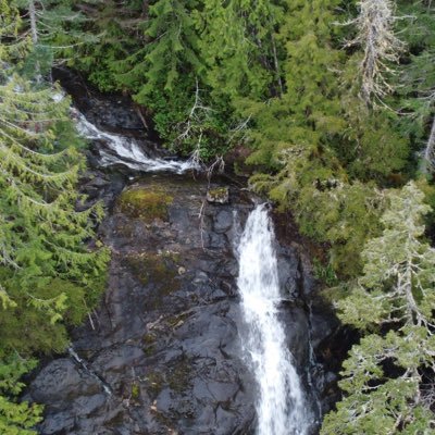 DonRoss94's profile picture. Proud father of two.