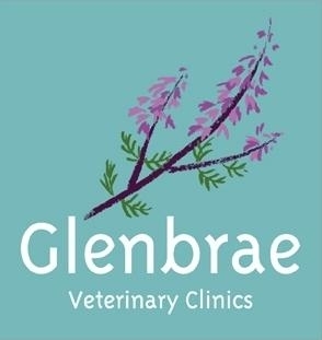 The Glenbrae Veterinary Clinic employs a team that is dedicated to the highest standard of service for both you and your pets.