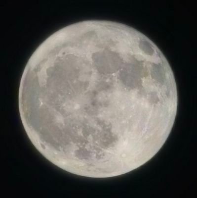 ria624751491939's profile picture. 