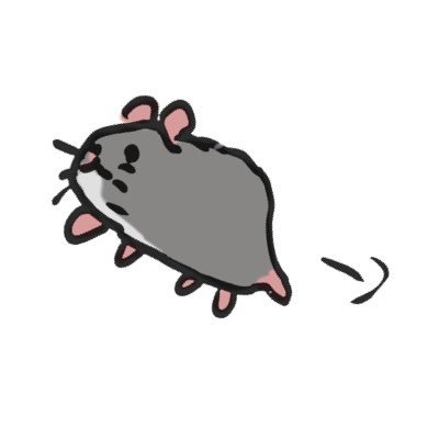 かぶとむしショップさんのプロフィール画像