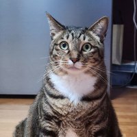 노엉(✧ᴗ✧) (@ntm3003) 's Twitter Profile