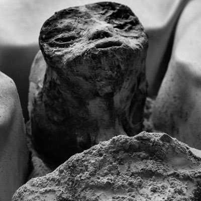 fabromanofan's profile picture. Drogheda and Walsall