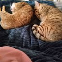 Gloria Burnside - @GloriaBurn9385 - Twitter