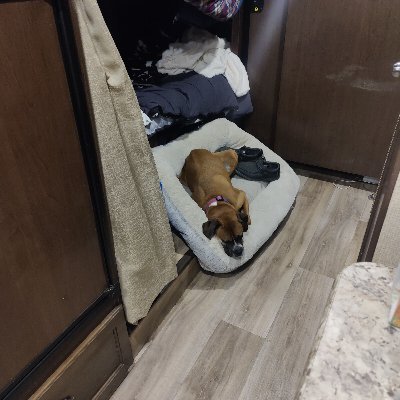 Squ1d_tv's profile picture. Counter-Strike and Soccer #RSL