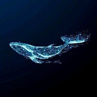 Sellkr (@selnkrdmr) 's Twitter Profile