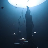 ••🦕 (@dom0pack) 's Twitter Profile