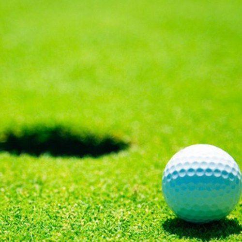 treyperry42's profile picture. 