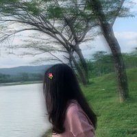 simpi__singh🍁🍁 (@nishakumar18663) 's Twitter Profile