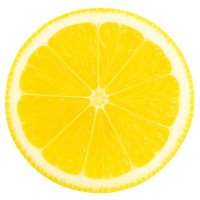 Lemon Farm (@lemonfarmlabs) 's Twitter Profile