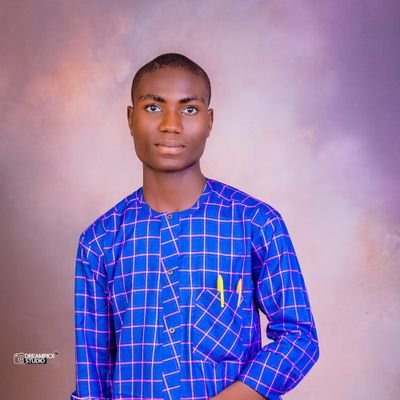 hananiya005's profile picture. 🌍Helping beginners make their first 💰$500 online | I share tips on how to make money💰💰💴in this digital space

https://t.co/BdSx4w2QIL