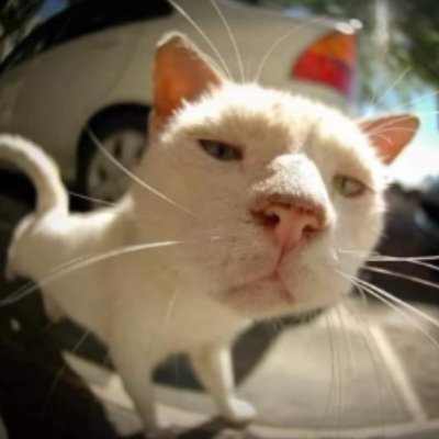 EmxWuer's profile picture. 