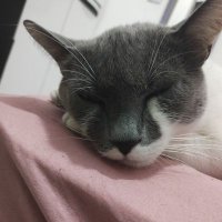 _gabriel_0375_ (@_gabriel_0375_) 's Twitter Profile