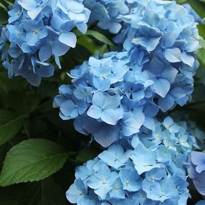 _10110101's profile picture. 20+^| bystander | be kind and respectful