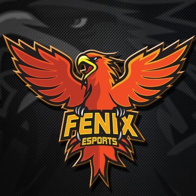Fenix Profile