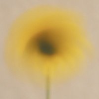 the artificial florist (@petal_logic) 's Twitter Profile