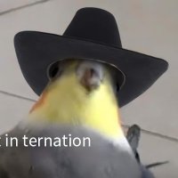Krazy_crayon (@krazy_crayon) 's Twitter Profile