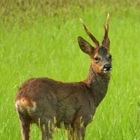 marmo (@b02carmen) 's Twitter Profile Photo marmo (@b02carmen) 's Twitter Profile Photo