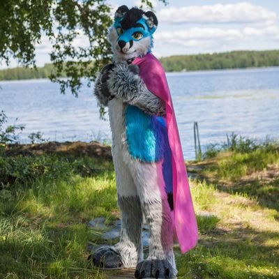 24yo | Blue forest corgi | ♂️ | No minors🔞| Fursuit made by: @MuffinMowMow | Pms open | AD: @pulikkafterdark | Taken🐏