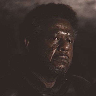 LETSCALLITWAR's profile picture. 