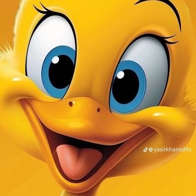 Rashailu3's profile picture. When the world goes against the truth
You should be goes to against the world