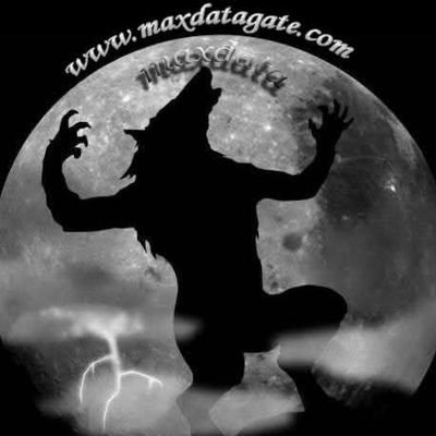 MaxDataMedia's profile picture. ماكس داتا