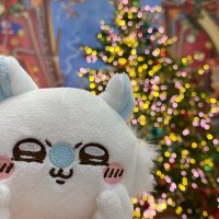 ぴーち (@q_6v6) 's Twitter Profile
