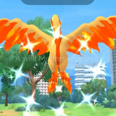 hiro3pikapika's profile picture. 2025春にTL50に(2022秋開始)🇯🇵-🇺🇸 surviving w gym coins😢😭無課金/no auto catcher/ Senior lady💦 英語日本語