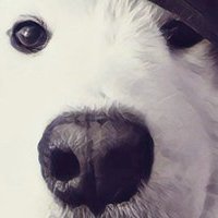 dont_take_blue's profile picture. 🔴🟢