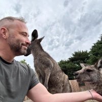 steve917 (@steve_91701) 's Twitter Profile