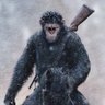 ll0wkey's profile picture. games are scripted, you are dumb to believe they real, learn gematria / numerology