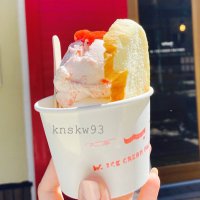 わぉん🐩 (@knskw93) / X