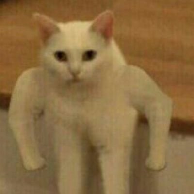 al_mqbli's profile picture. 🤷🏻‍♂️