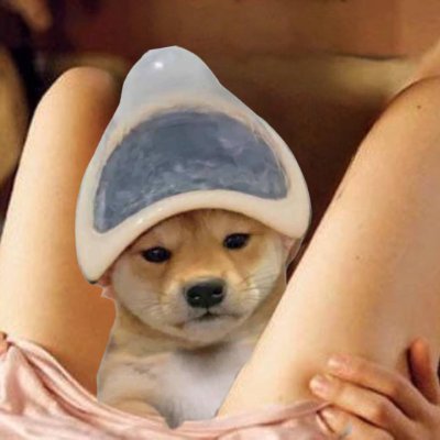 AnonymousCEnjoy's profile picture. 