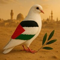 Abdullah Zengin (@abdullahzengi63) 's Twitter Profile