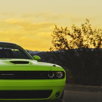 sam232423's profile picture. i love lebron