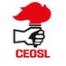 CEOSL Profile picture