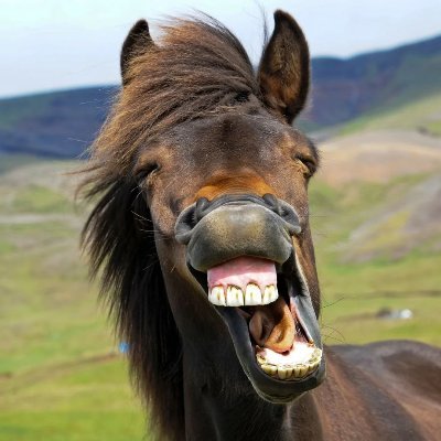 zoubidarayana5's profile picture. 