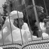 al3fari12's profile picture. 