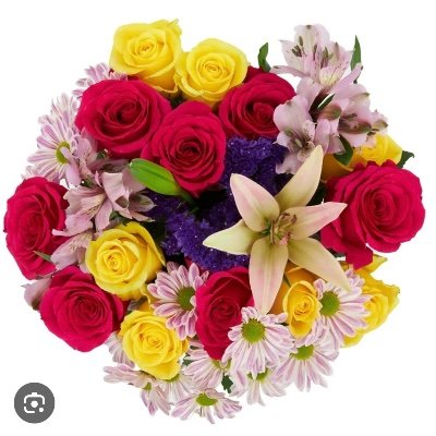 DianeSh27964946's profile picture. Just for fun 🤩