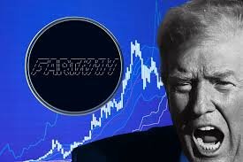 afartcoinwhale's profile picture. fartcoin whale just bought...