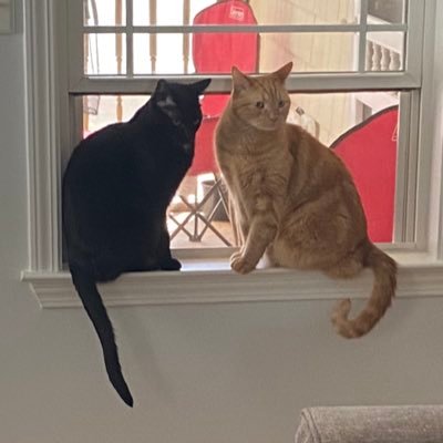 kateas17's profile picture. loves what DJT aka POTUS is doing for our Country/doesn’t matter how you get there, as long as you get there