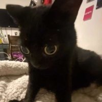 WawayZz (@wawayzz_) 's Twitter Profile Photo