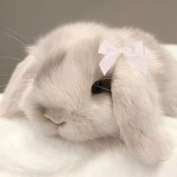 ππ’πππ¦ π (@simsancy) 's Twitter Profile
