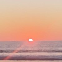 Alita. Puesta de sol. La Serena🇨🇱🌳🌳🌳 (@alejand56996561) 's Twitter Profile Photo Alita. Puesta de sol. La Serena🇨🇱🌳🌳🌳 (@alejand56996561) 's Twitter Profile Photo
