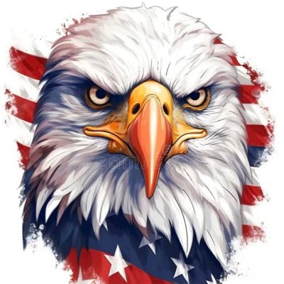 wethpeople1776's profile picture. Law and Order, Peace thru Strength, The Constitution is the Foundation of our Republic and America’s🇺🇸 Democracy! It will not be Trampled on! NO DMs, NO BIT!